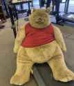 Winnie the Poo 