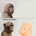 activation