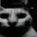 1713472298616560