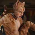 swiftcat