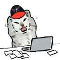 Aubie
