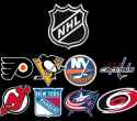 NHL metropolitan division