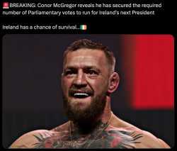 1.43 MB