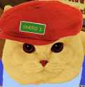 78 KB