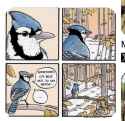150 KB