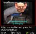 21 KB