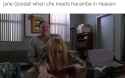 663 KB