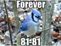 87 KB