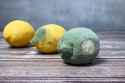 moldy-yellow-lemons-three-rotten-lemons-wooden-table-various-stages-decomposition-spoiled_807985-43-3007882958.jpg