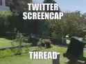 twitter screencap thread.webm