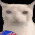 301 KB