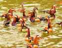113 KB