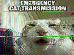 293 KB