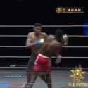2.3 MB