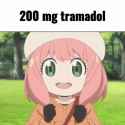 2.06 MB