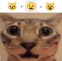 41 KB