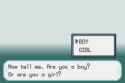 3 KB