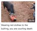 167 KB