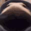 227 KB
