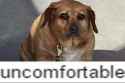 33 KB
