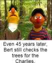 43 KB