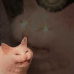 24 KB