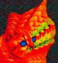 463 KB