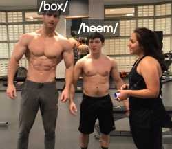 439 KB