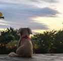 257 KB