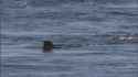 1.97 MB