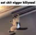 1017 KB