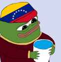 202 KB