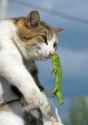 63 KB