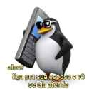 21 KB