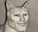 161 KB