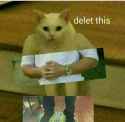 37 KB