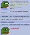 556 KB