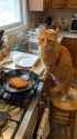 2.09 MB