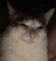50 KB