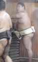 359 KB