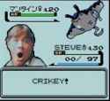 43 KB
