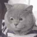 126 KB