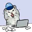 162 KB