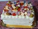 1.21 MB