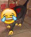 301 KB