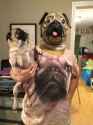 105 KB