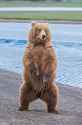 40 KB