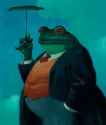sir frog