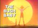 The Bush Baby (English Dub)