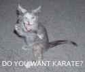 do-you-want-karate